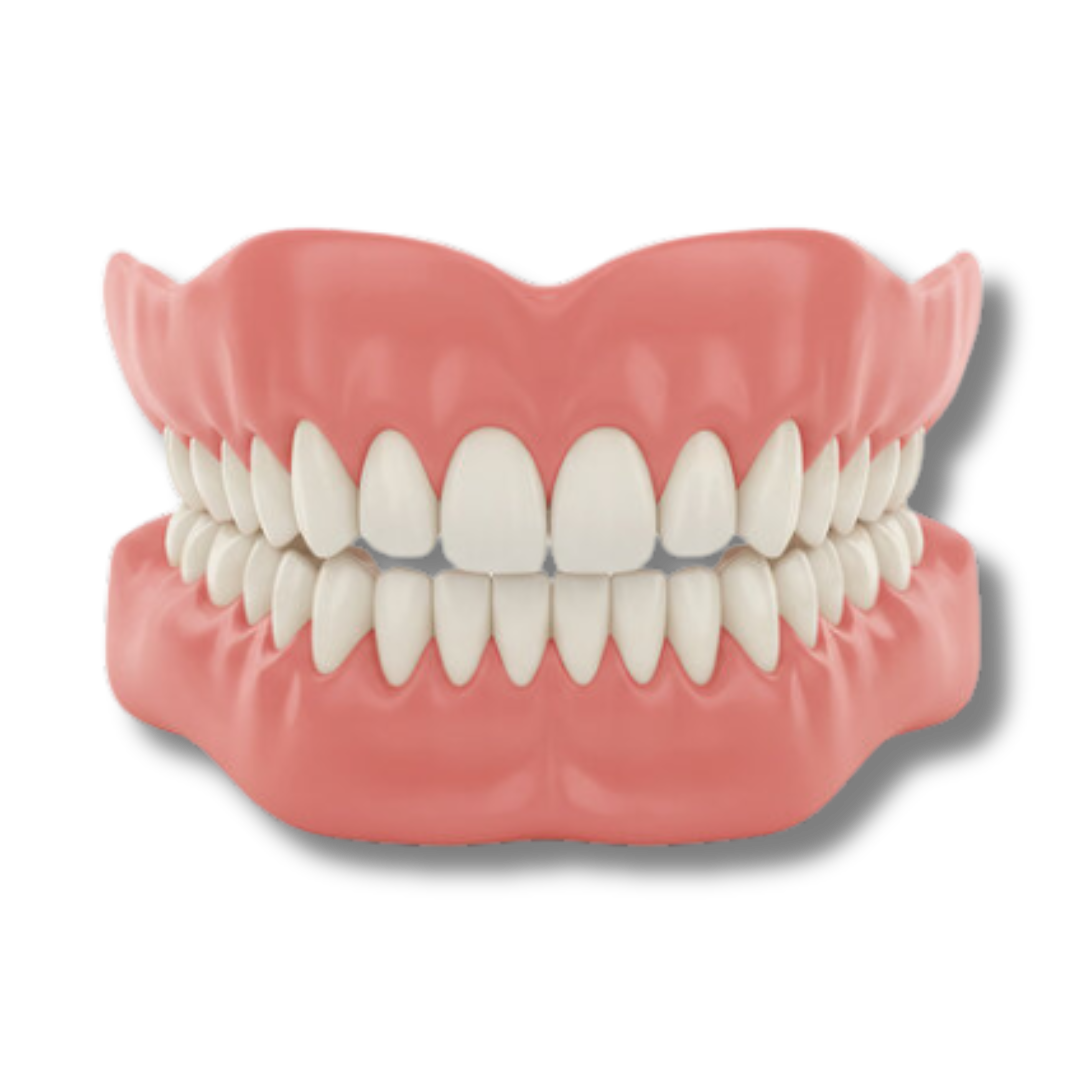 Hilgan™ - Denture Set