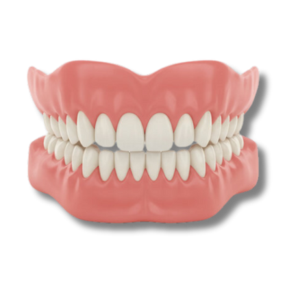 Hilgan™ - Denture Set
