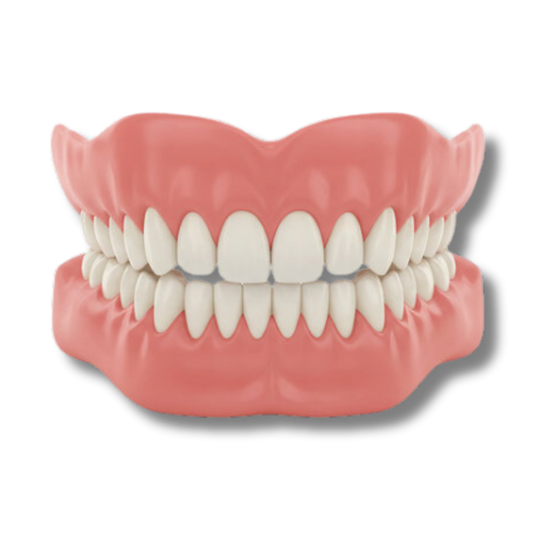 Hilgan™ - Denture Set
