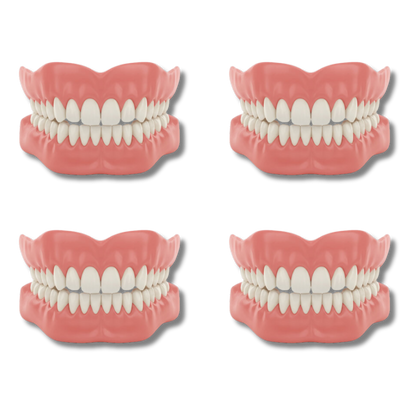 Hilgan™ - Denture Set